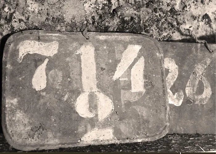 Haus Am Stadtturm Apartamento